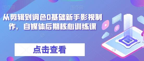 从剪辑到调色0基础新手影视制作，自媒体后期核心训练课-稳赚族