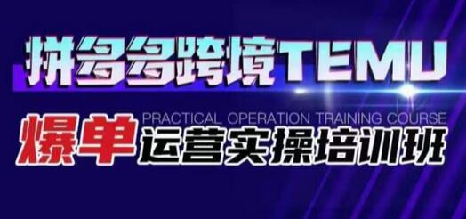 拼多多跨境TEMU爆单运营实操培训班，海外拼多多的选品、运营、爆单-稳赚族
