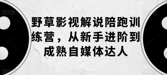 野草影视解说陪跑训练营，从新手进阶到成熟自媒体达人-稳赚族