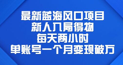 最新蓝海风口项目，新人入局得物，每天两小时，单账号一个月变现破万-稳赚族