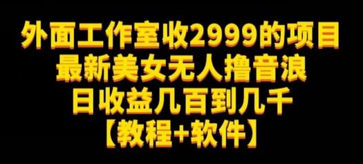 外面工作室收2999的项目最新美女无人撸音浪日收益几百到几千-稳赚族