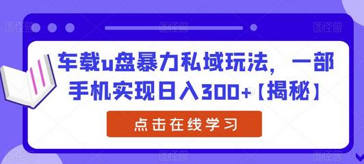 车载u盘暴力私域玩法，一部手机实现日入300+-稳赚族