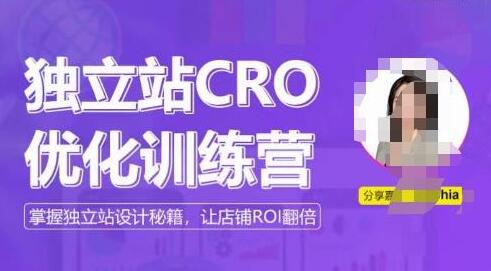 独立站CRO优化训练营，掌握独立站设计秘籍，打造高转化的独立站，让店铺ROI翻倍-稳赚族