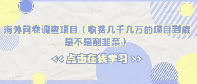 海外问卷调查项目（收费几千几万的项目到底是不是割韭菜）-稳赚族