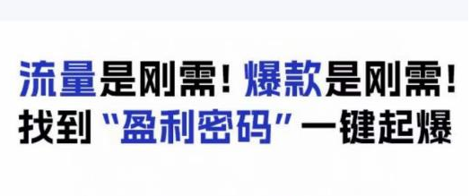 电商盈利精品课：6大盈利密码让产品更好卖，流量是刚需！爆款是刚需！找到”盈利密码”一键起爆-稳赚族