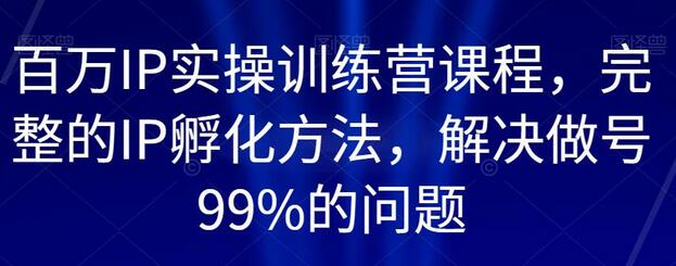 百万IP实操训练营课程，完整的IP孵化方法，解决做号99%的问题-稳赚族