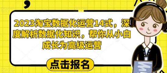 2023淘宝数据化运营14式，深度解析数据化知识，帮你从小白成长为高级运营-稳赚族