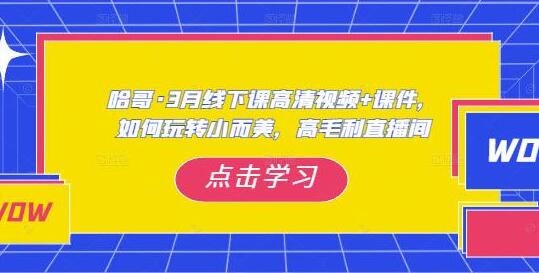 哈哥·3月线下实操课高清视频+课件，如何玩转小而美，高毛利直播间-稳赚族