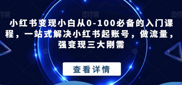 小红书变现小白从0-100必备的入门课程，一站式解决小红书起账号，做流量，强变现三大刚需-稳赚族