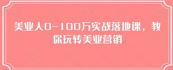 美业人0-100万实战落地课，教你玩转美业营销-稳赚族