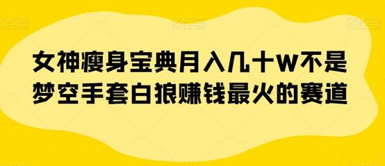 女神瘦身宝典月入几十W不是梦空手套白狼赚钱最火的赛道-稳赚族