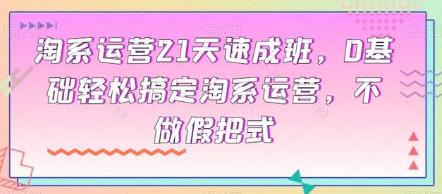 淘系运营21天速成班，0基础轻松搞定淘系运营，不做假把式-稳赚族