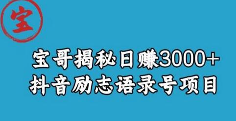 宝哥揭秘日赚3000+抖音励志语录号短视频变现项目-稳赚族