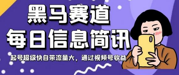 黑马赛道每日信息简讯，起号超级快自带流量大，通过视频号收益-稳赚族