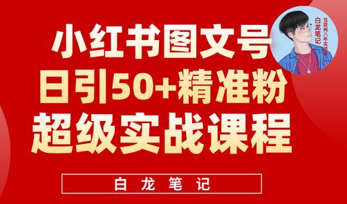 小红书图文号日引50+精准流量，超级实战的小红书引流课，非常适合新手【揭秘】-稳赚族