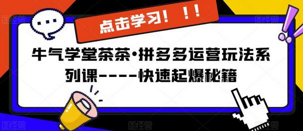 牛气学堂茶茶•拼多多运营玩法系列课—-快速起爆秘籍【更新】-稳赚族