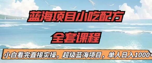 蓝海项目小吃配方全套课程，小白看完直接实操，单人日入1000+-稳赚族