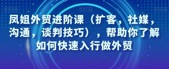 凤姐外贸进阶课（扩客，社媒，沟通，谈判技巧），帮助你了解如何快速入行做外贸-稳赚族