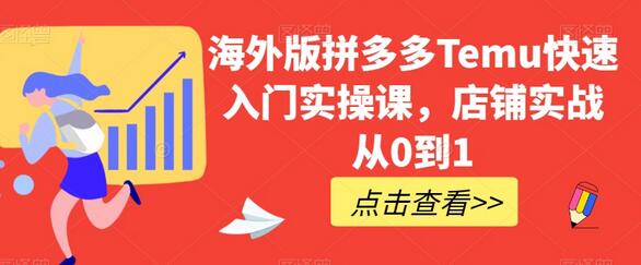 海外版拼多多Temu快速入门实操课，店铺实战从0到1-稳赚族