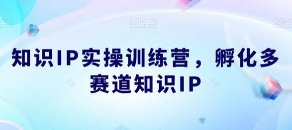 知识IP实操训练营，​孵化多赛道知识IP-稳赚族