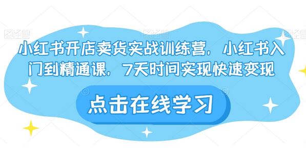 小红书开店卖货实战训练营，小红书入门到精通课，7天时间实现快速变现-稳赚族