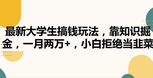 最新大学生搞钱玩法，靠知识掘金，一月两万+，小白拒绝当韭菜-稳赚族