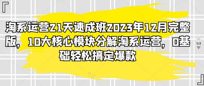 淘系运营21天速成班2023年12月完整版，10大核心模块分解淘系运营，0基础轻松搞定爆款-稳赚族