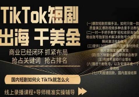 TikTok短剧出海干美金，商业已经闭环抓紧布局，抢占关键词抢占排名-稳赚族