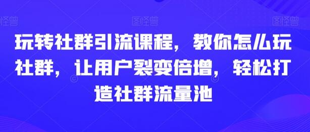 玩转社群引流课程，教你怎么玩社群，让用户裂变倍增，轻松打造社群流量池-稳赚族