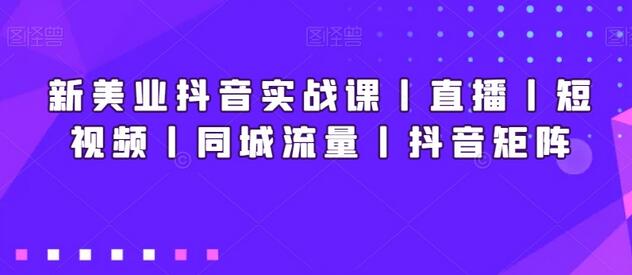 新美业抖音实战课丨直播丨短视频丨同城流量丨抖音矩阵-稳赚族