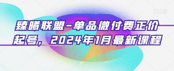 臻曦联盟-单品微付费正价起号，2024年1月最新课程-稳赚族