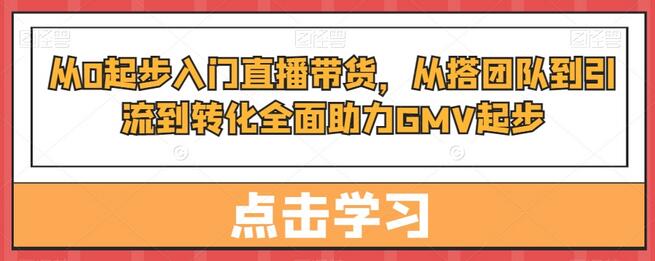 从0起步入门直播带货，​从搭团队到引流到转化全面助力GMV起步-稳赚族