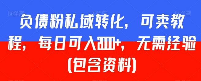 负债粉私域转化，可卖教程，每日可入2000+，无需经验（包含资料）-稳赚族