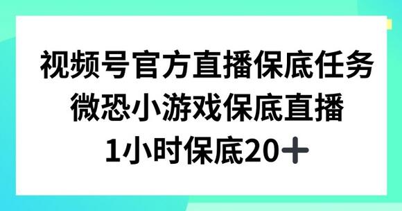 视频号直播任务，微恐小游戏，1小时20+-稳赚族