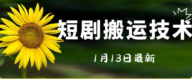 最新短剧搬运技术，电脑手机都可以操作，不限制机型-稳赚族