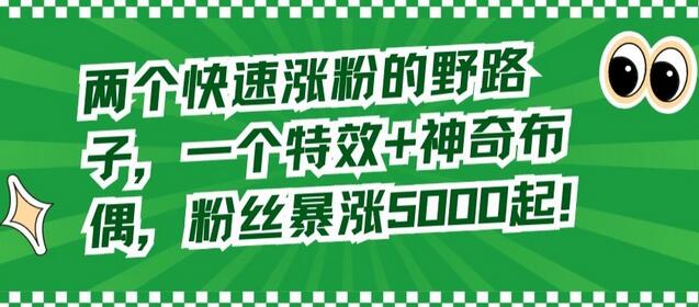 两个快速涨粉的野路子，一个特效+神奇布偶，粉丝暴涨5000起-稳赚族