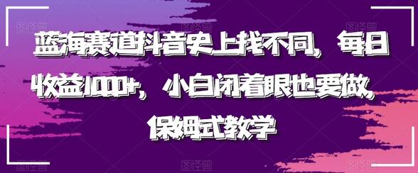 蓝海赛道抖音史上找不同，每日收益1000+，小白闭着眼也要做，保姆式教学-稳赚族