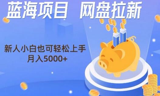 蓝海项目网盘拉新，新人小白也可操作，每月收入5000+-稳赚族