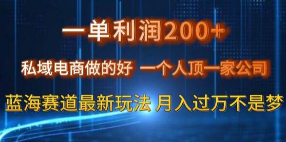 一单利润200私域电商做的好，一个人顶一家公司蓝海赛道最新玩法-稳赚族