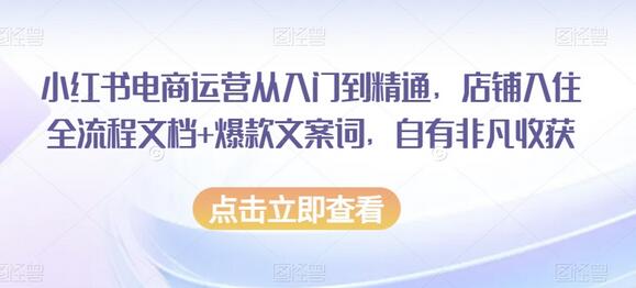 小红书电商运营从入门到精通，店铺入住全流程文档+爆款文案词，自有非凡收获-稳赚族