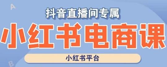 小红书电商高级运营课程，实操教学+案例分析-稳赚族