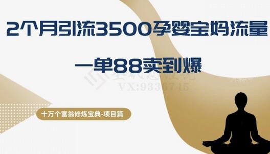 十万个富翁修炼宝典之13.2个月引流3500孕婴宝妈流量，一单88卖到爆-稳赚族