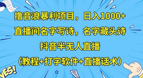 撸音浪暴利项目，日入1000+，直播间名字写诗，名字藏头诗，抖音半无人直播（教程+打字软件+直播话术）-稳赚族