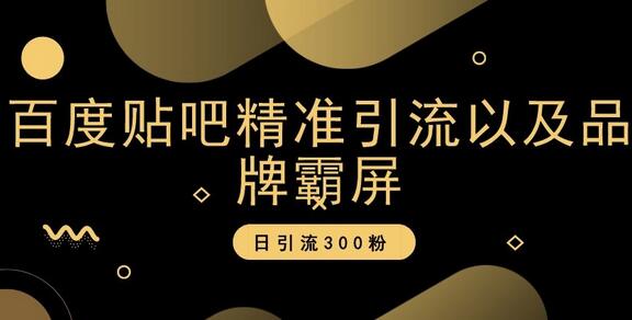 百度贴吧精准引流以及品牌霸屏，日引流300粉-稳赚族