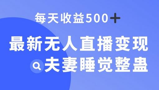 最新无人直播变现，夫妻睡觉整蛊，每天躺赚500+-稳赚族