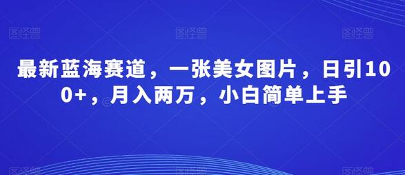 最新蓝海赛道，一张美女图片，日引100+，月入两万，小白简单上手-稳赚族