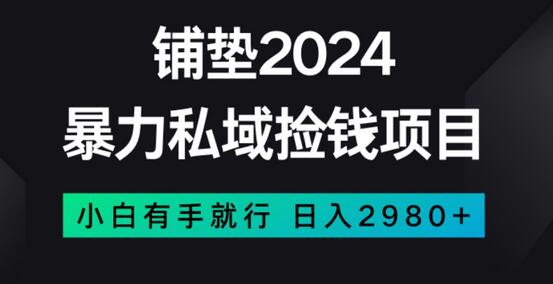 暴力私域捡钱项目，小白无脑操作，日入2980-稳赚族