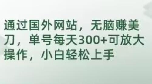 通过国外网站，无脑赚美刀，单号每天300+可放大操作，小白轻松上手-稳赚族