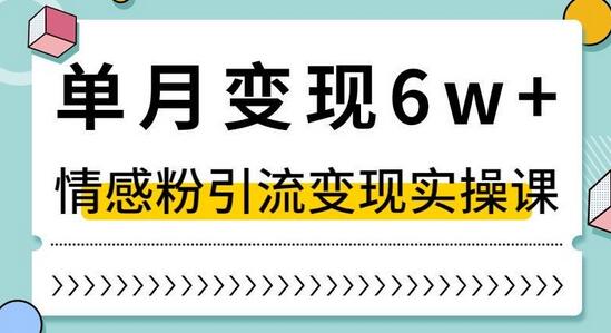 单月变现6W+，抖音情感粉引流变现实操课，小白可做，轻松上手，独家赛道-稳赚族