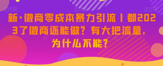 新·微商零成本暴力引流丨都2023了微商还能做？有大把流量，为什么不能？-稳赚族